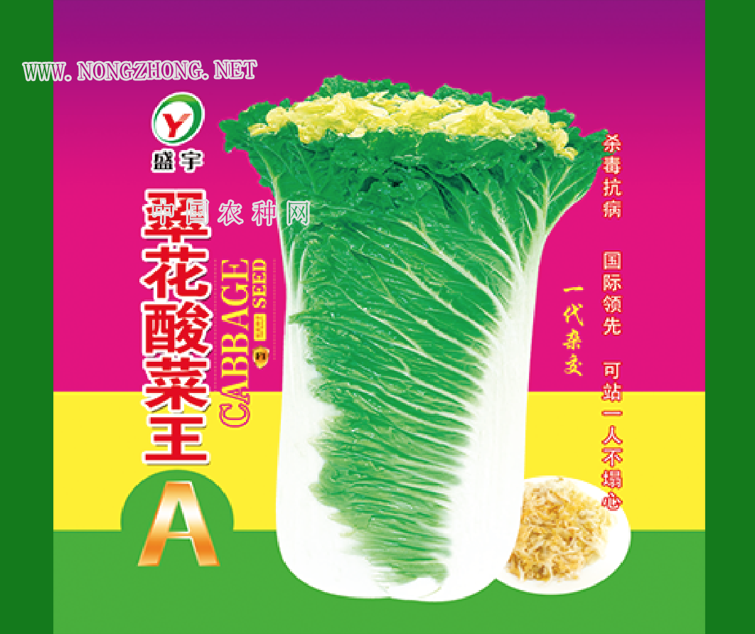 翠花酸菜王A